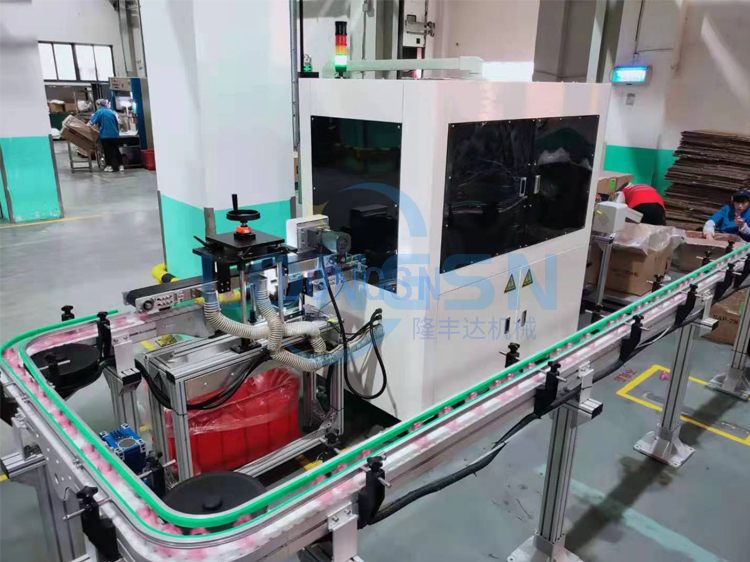 l&aacute;t&aacute;sellenőrző rendszer